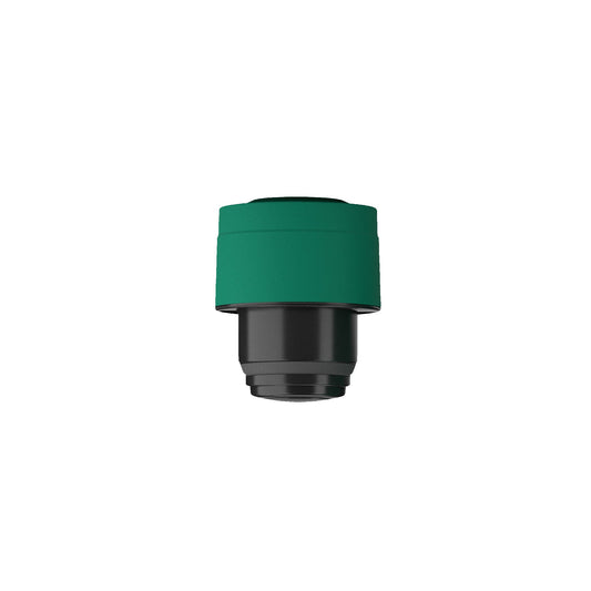 Cool Bottles Zakrętka 350-500 ml Vivid Quetzal